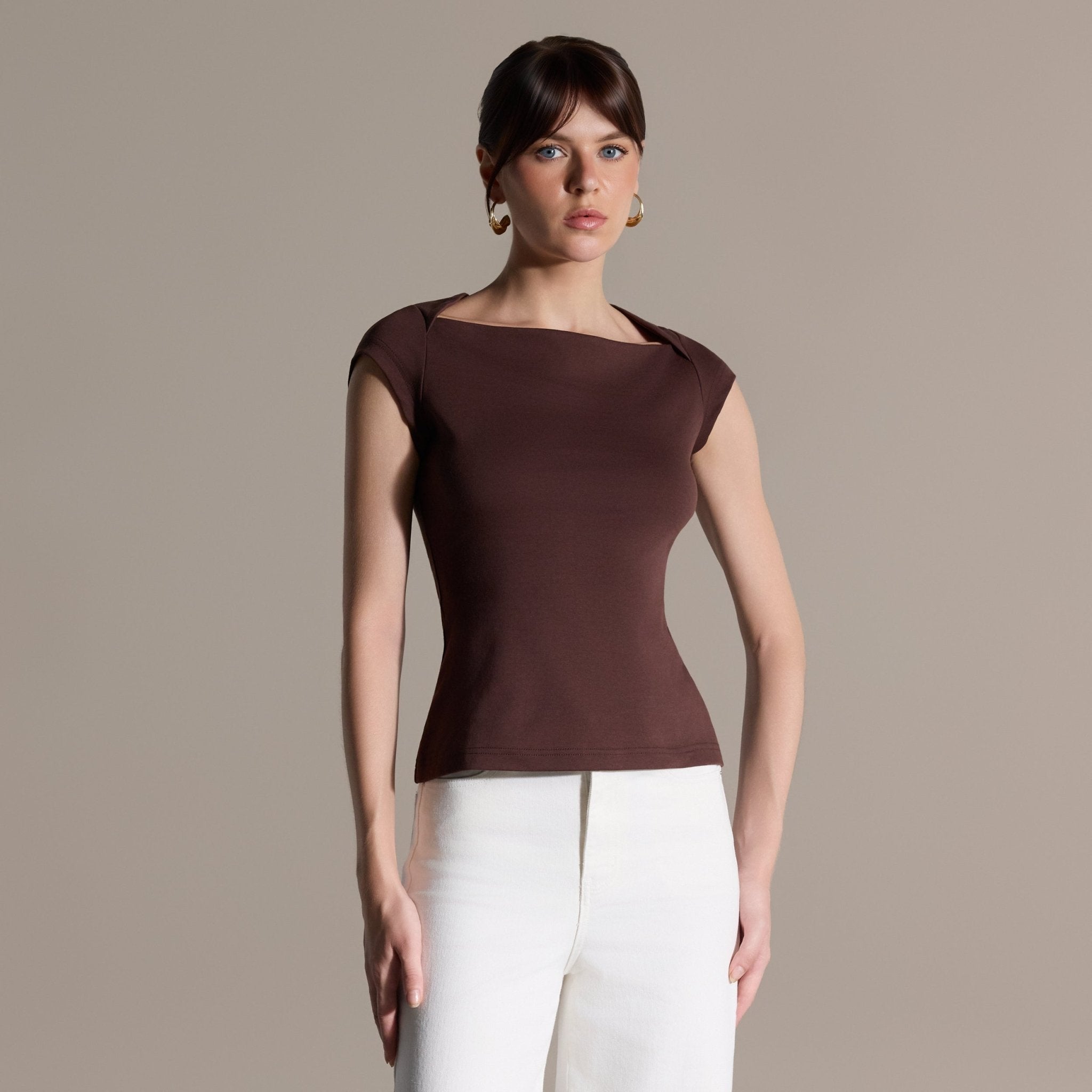 Brown Cap Sleeve Fitted Top - shopaleena