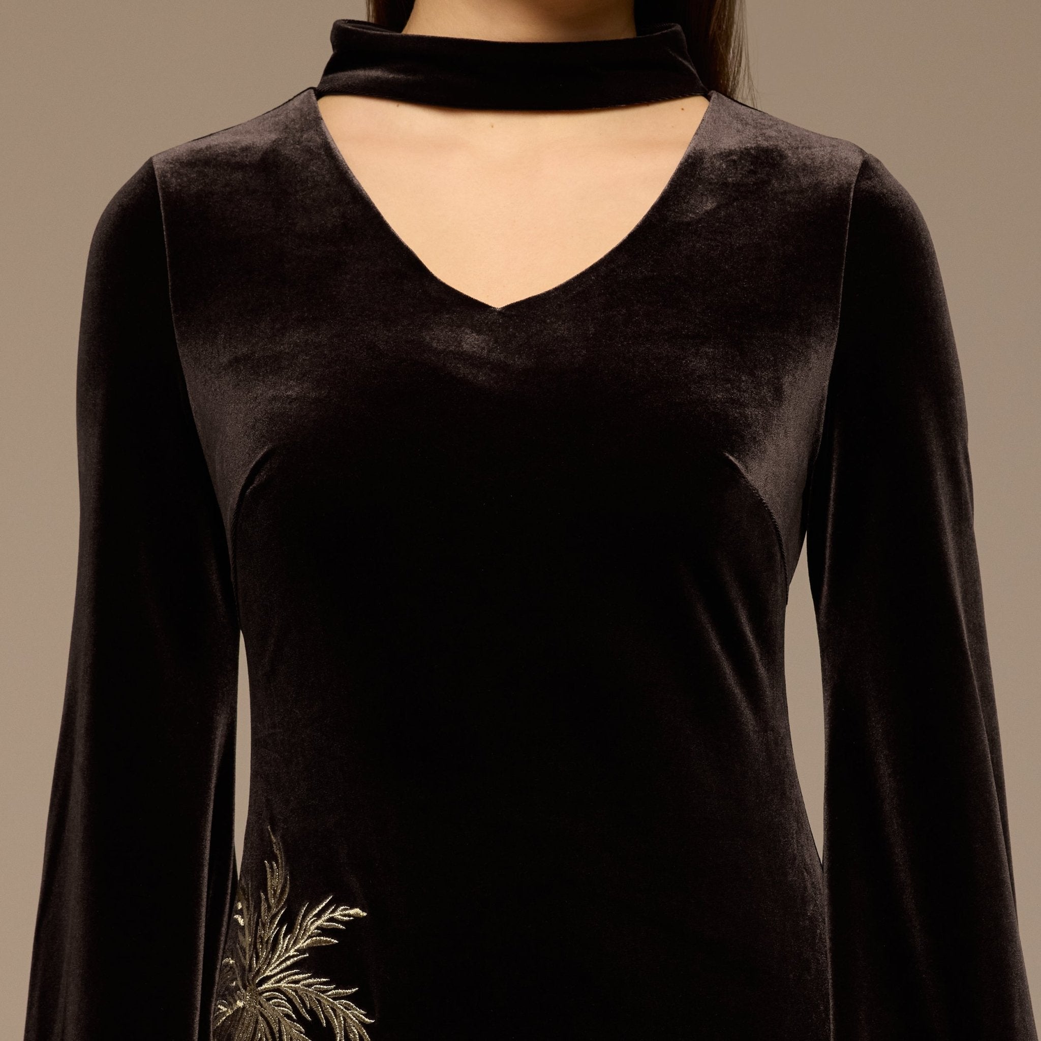 Brown Embroidered Velvet Maxi Dress - shopaleena