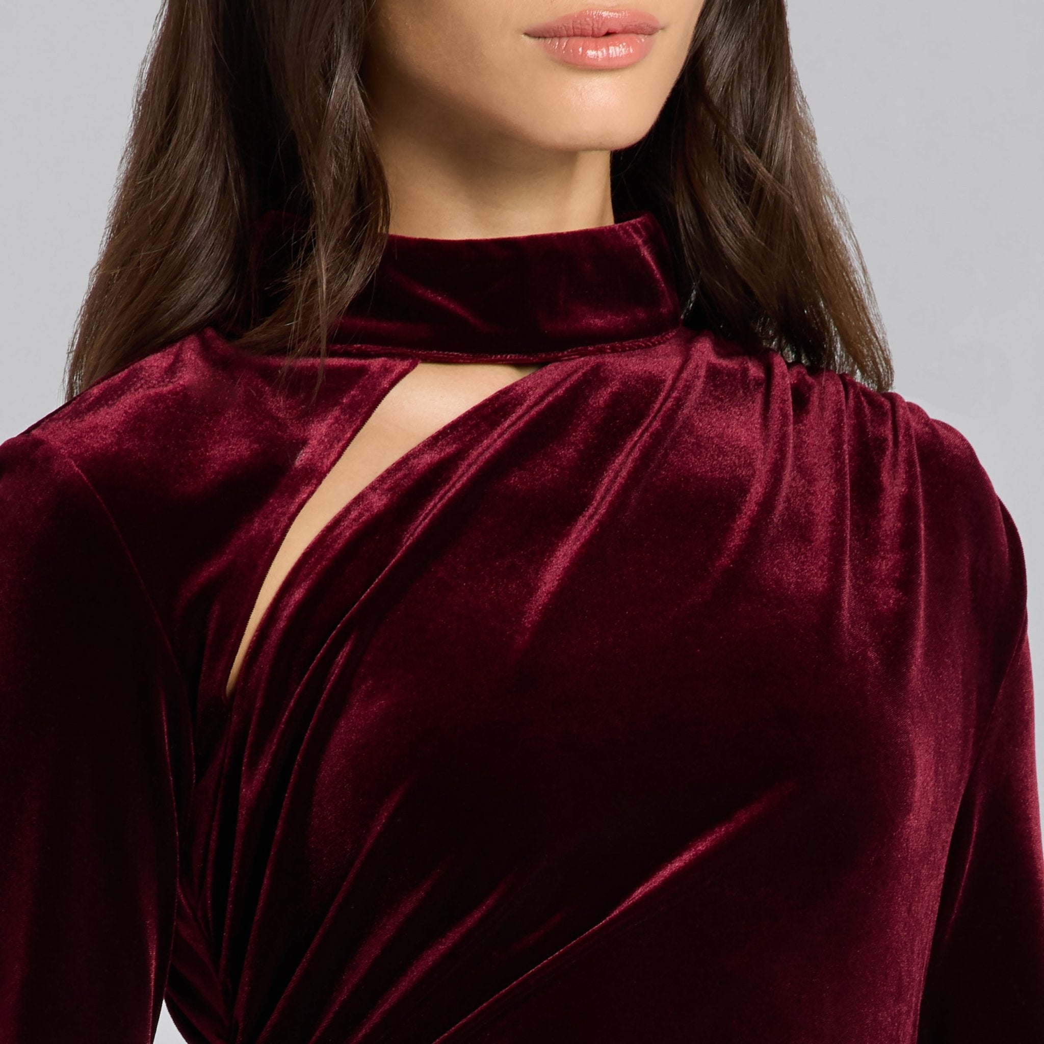 Burgundy Velvet High Neck Gown - shopaleena
