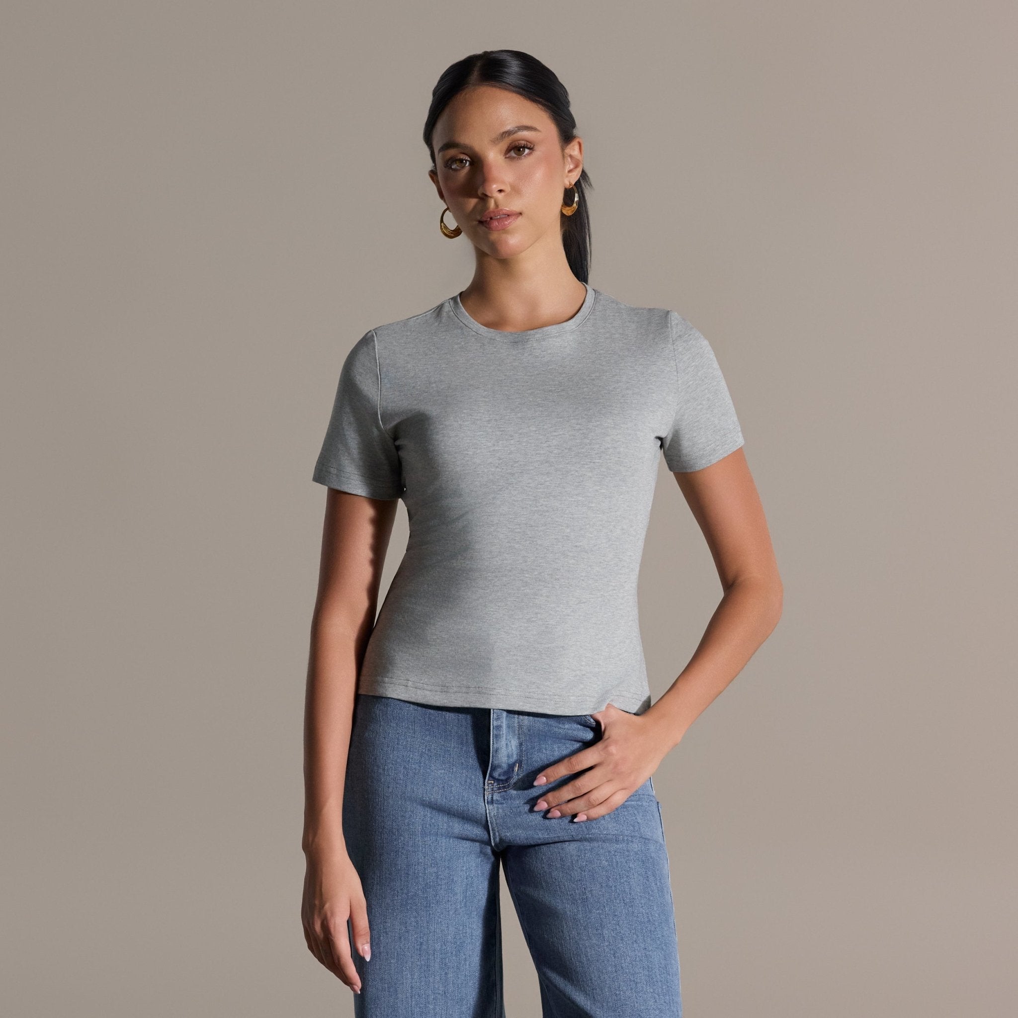 Gray Crew Neck Fitted T-Shirt - shopaleena