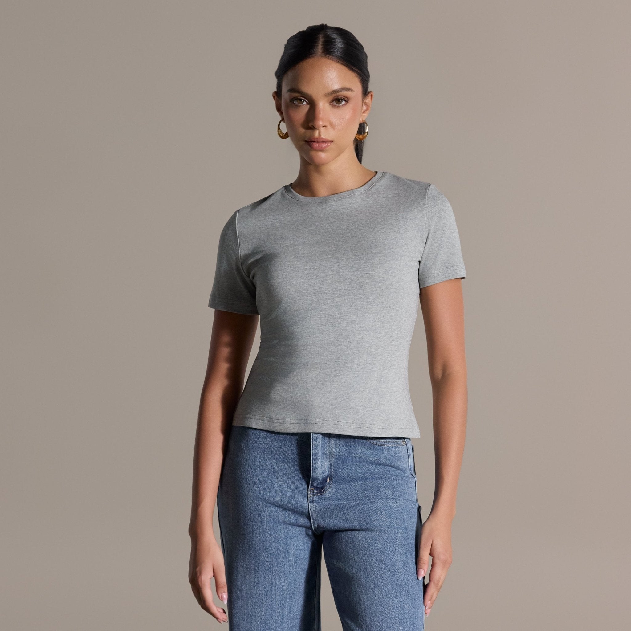 Gray Crew Neck Fitted T-Shirt - shopaleena