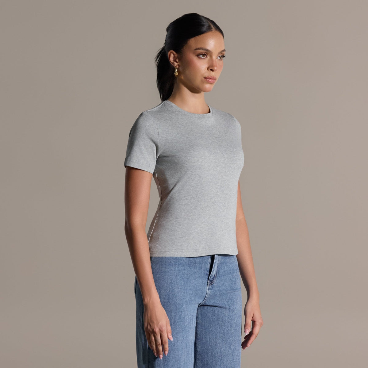 Gray Crew Neck Fitted T-Shirt - shopaleena