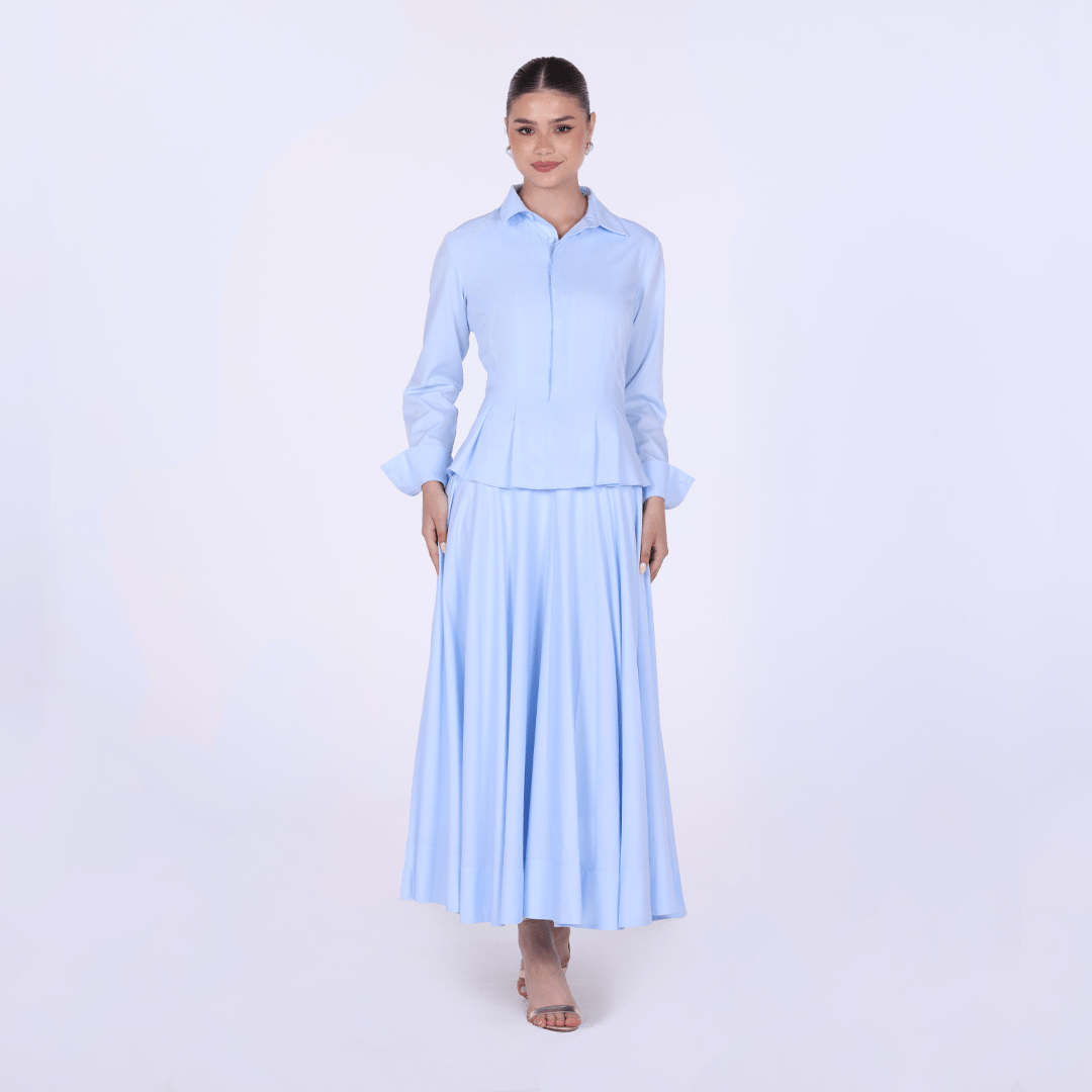 Long Sleeve A - Line Midi Dress with Shirt Collar - shopaleena