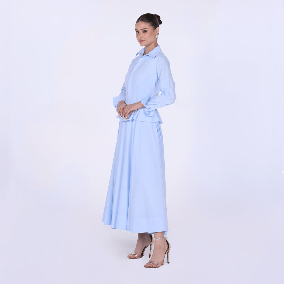 Long Sleeve A - Line Midi Dress with Shirt Collar - shopaleena