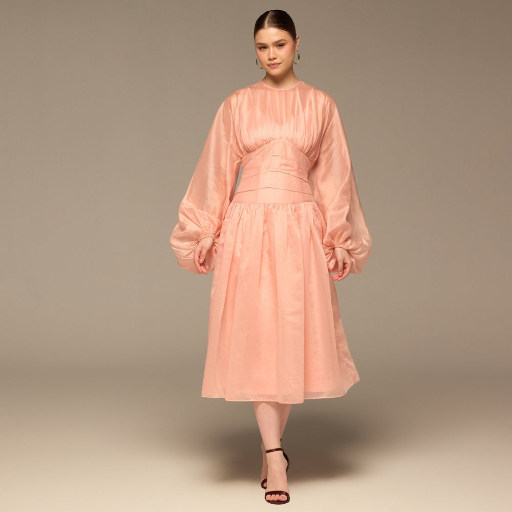 Pink Organza Puffy Sleeve Dress - shopaleena
