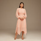 Pink Ruched top long sleeve Chiffon Midi Dress - shopaleena