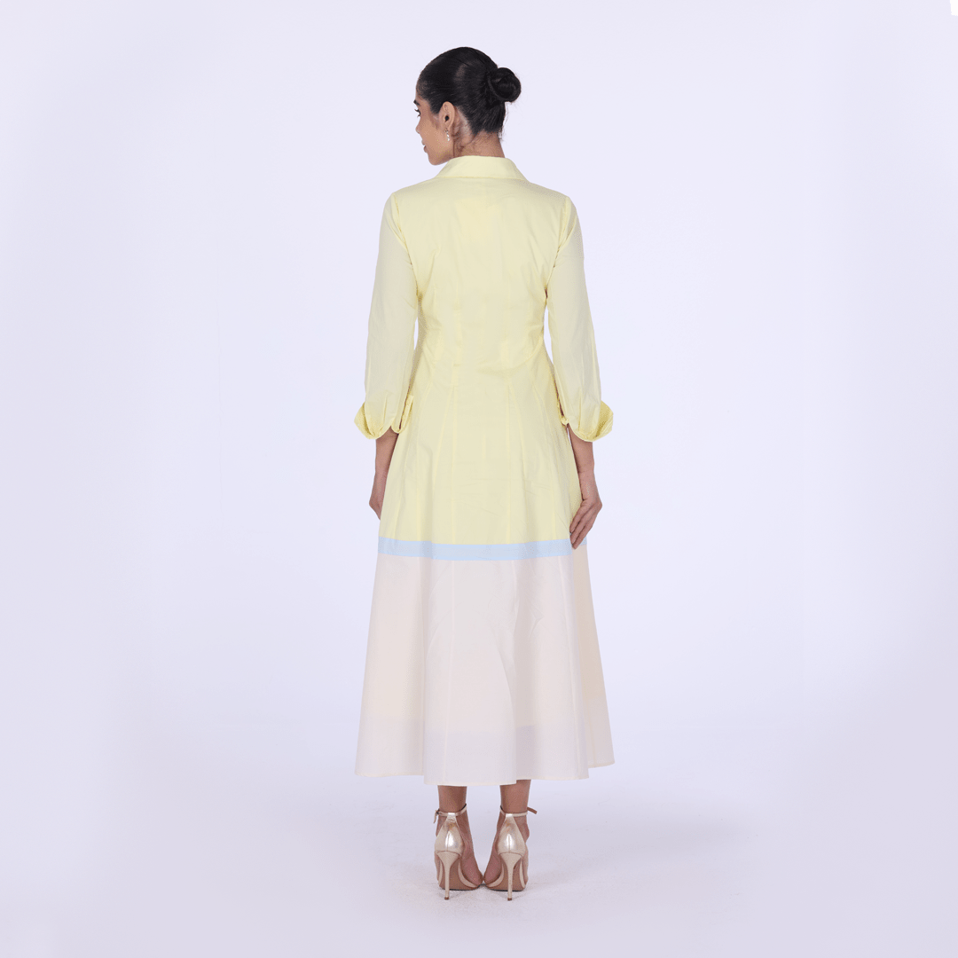 Pleated Long Sleeve Maxi Shirt Dress - shopaleena