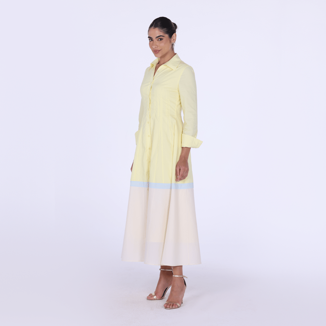 Pleated Long Sleeve Maxi Shirt Dress - shopaleena