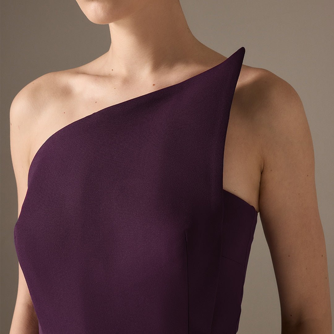 Plum Sleeveless Crepe Gown with Detailed Top - shopaleena