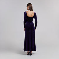 Purple Velvet Bodycon Maxi Dress - shopaleena