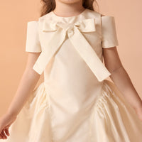 Short Sleeves Taffeta Dress - shopaleena