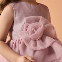 Sleeves organza Dress - shopaleena