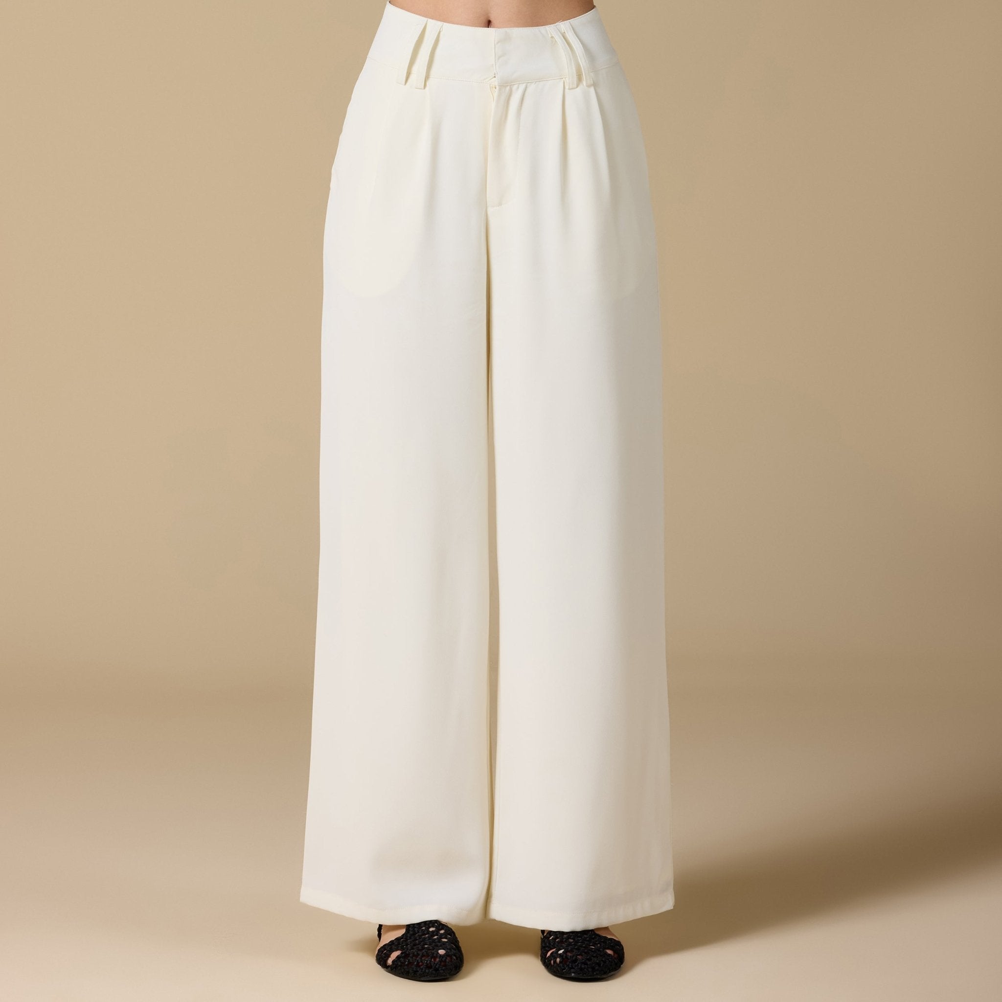 Wide - Leg Pleated Pants - shopaleena