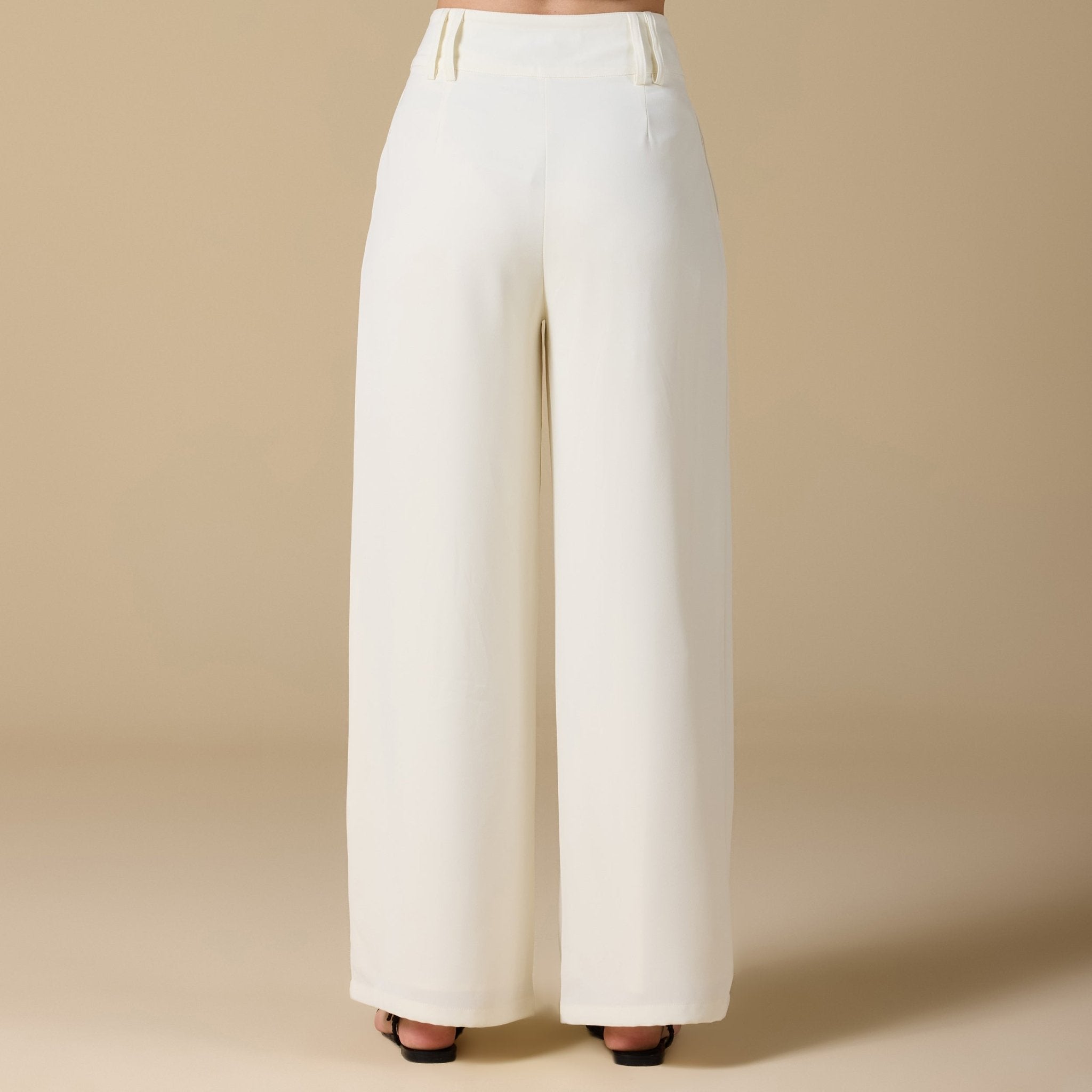 Wide - Leg Pleated Pants - shopaleena