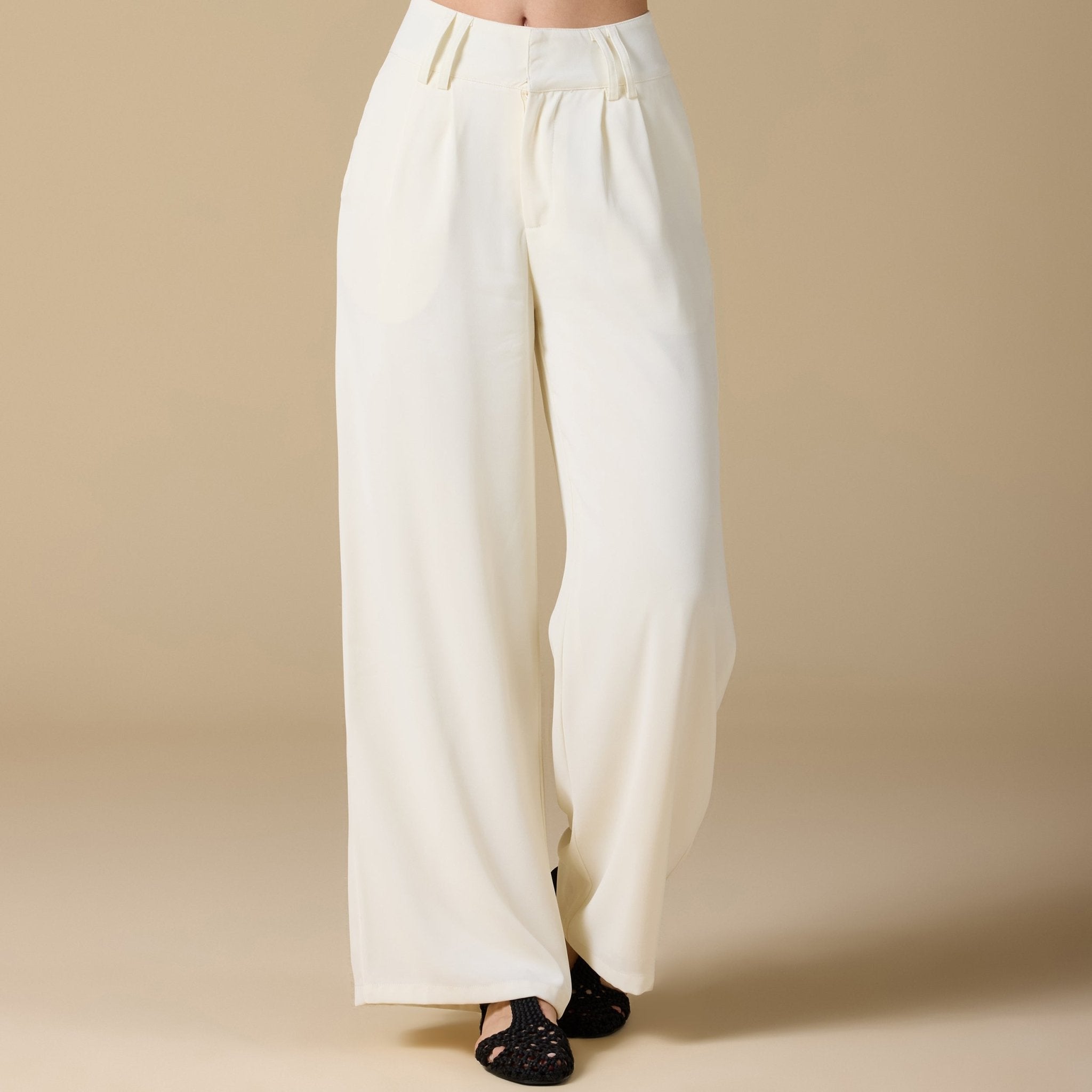 Wide - Leg Pleated Pants - shopaleena