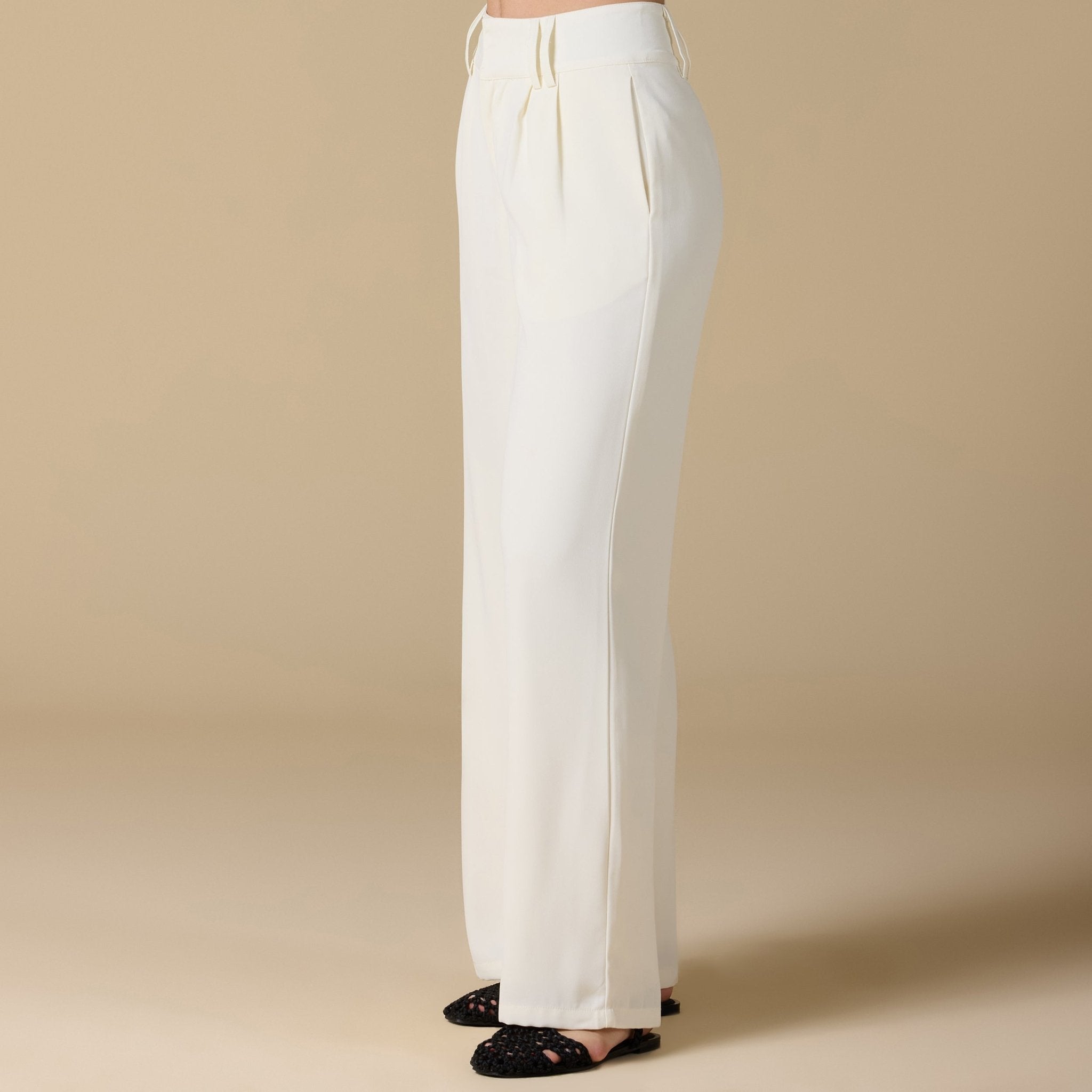 Wide - Leg Pleated Pants - shopaleena