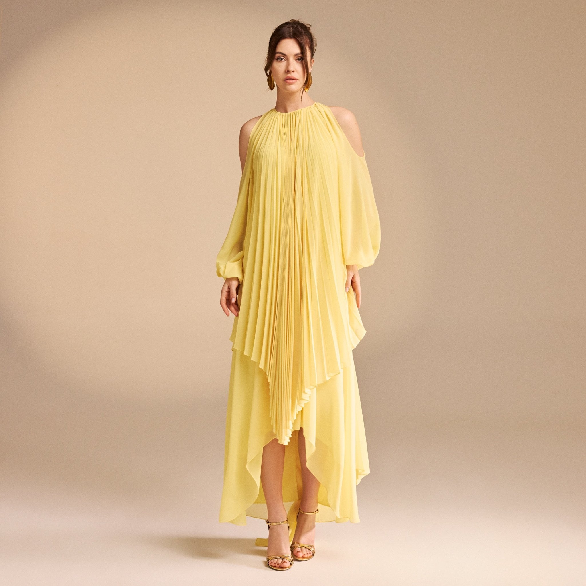 Poet Shoulder Pleated Long Sleeve Chiffon Dress - shopaleena